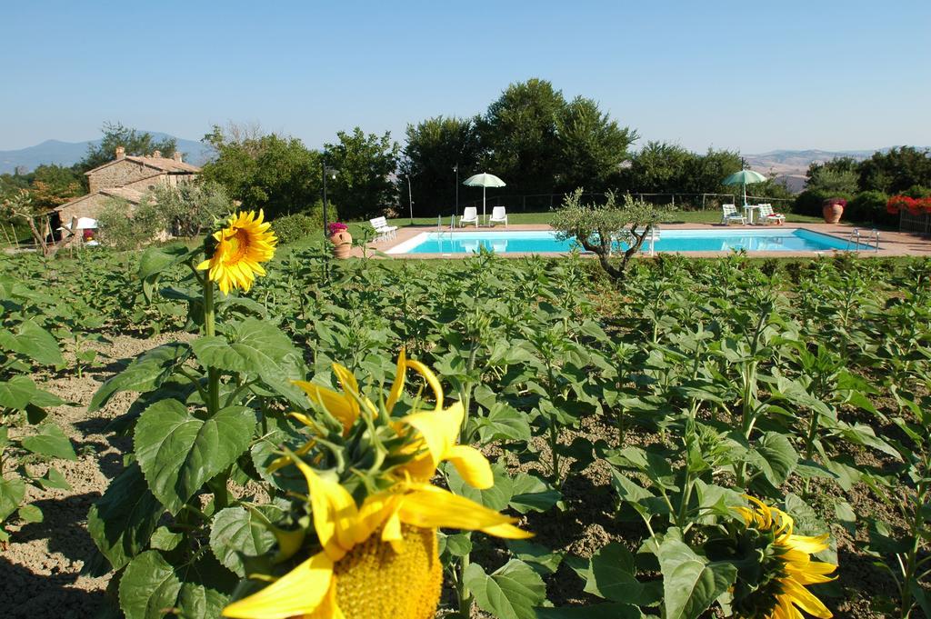 Poggio Porsenna Villa Proceno Esterno foto