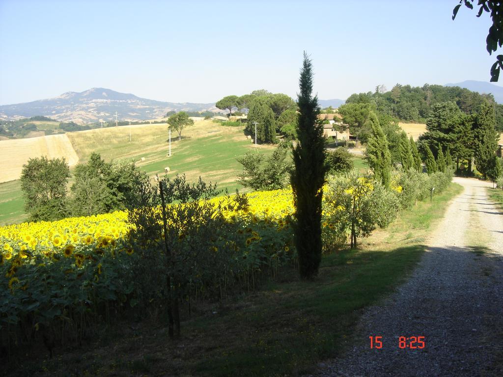 Poggio Porsenna Villa Proceno Esterno foto